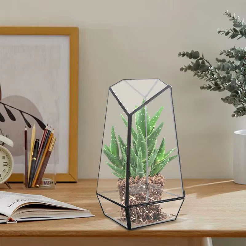 Glass Plant Terrarium Modern Handmade Glass Planter Pot with Door 25Cm Handmade Glass Planter Pot Small Geometric Terrarium