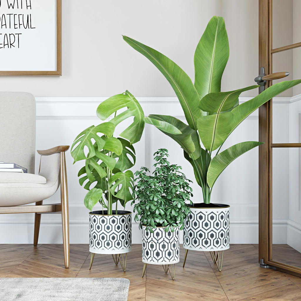 Andrey Black/White Hexagonal Indoor Metal Pot Planters (Set of 3) - 11.5"H X 8.5"W X 8.5"D