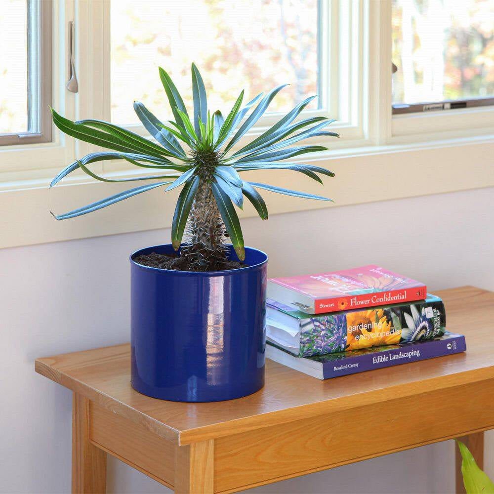 8 In. W Cylinder French Blue Galvanized Steel Planter Pot, Indoor Outdoor Use, Garden Accent