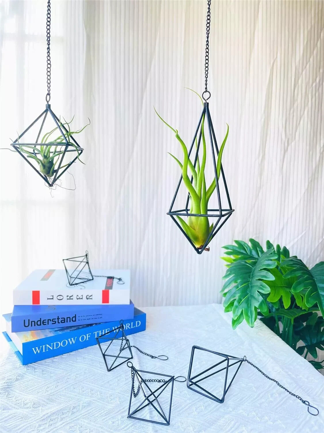 6 Pack Metal Air Plants Hanging Holder Geometric Planter Air Ferns Display
