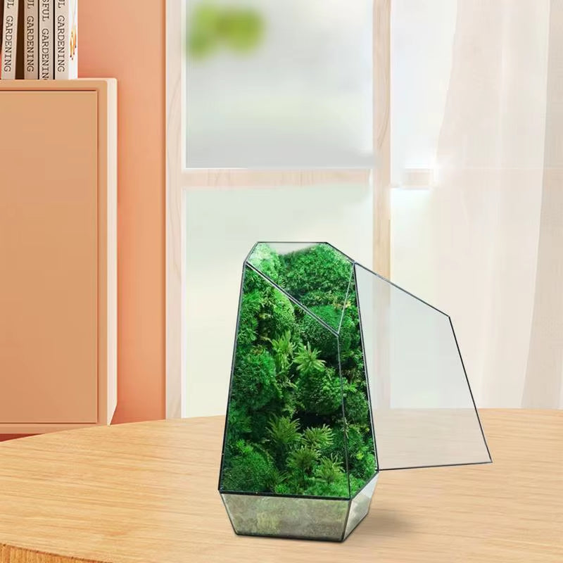 Glass Plant Terrarium Modern Handmade Glass Planter Pot with Door 25Cm Handmade Glass Planter Pot Small Geometric Terrarium