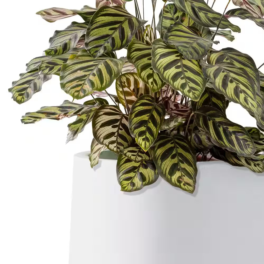 17.3", 13.4", and 10.6"H round Pure White Concrete Planter (Set of 3), Outdoor Indoor Planter Pots with Drainage Holes