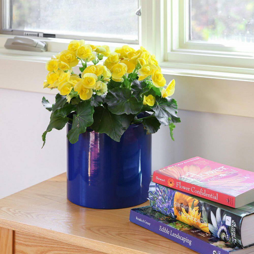 8 In. W Cylinder French Blue Galvanized Steel Planter Pot, Indoor Outdoor Use, Garden Accent