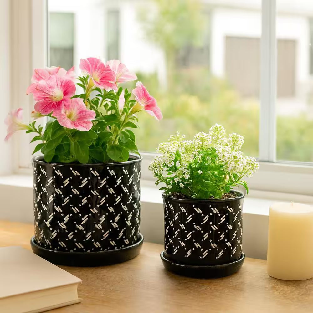 6 In. and 8 In. Black Ceramic Dots Saucer Decorative Pots (Set of 2)