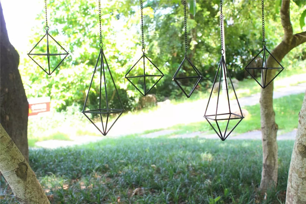6 Pack Metal Air Plants Hanging Holder Geometric Planter Air Ferns Display