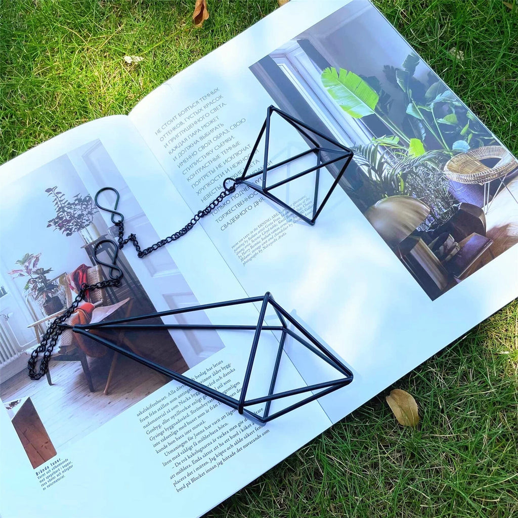 6 Pack Metal Air Plants Hanging Holder Geometric Planter Air Ferns Display