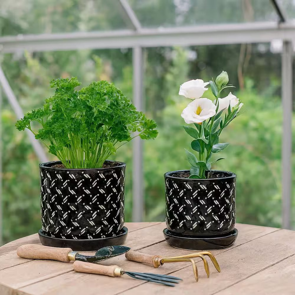 6 In. and 8 In. Black Ceramic Dots Saucer Decorative Pots (Set of 2)